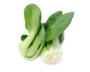 油菜籽价格