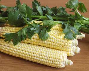 玉米的功效与作用