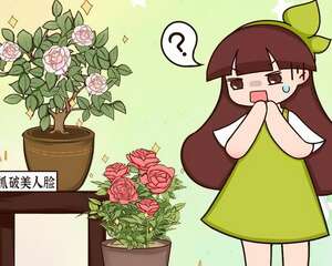 被名字耽误的花，叫起来太难听，开花却很惊艳！