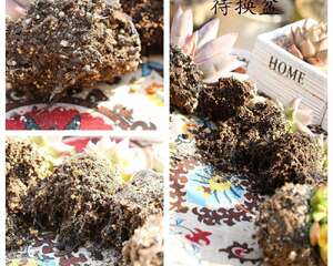 多肉生长太快？花盆开始变小？那就赶紧给这些多肉植物换盆吧！