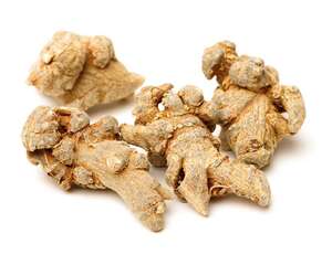 当归的品种分类