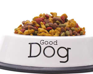 假狗粮有哪些特征