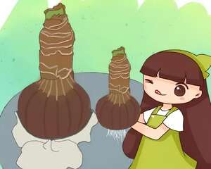 养花不生根？赶紧塞团卫生纸，大白根蹭蹭冒！