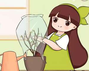 花养成大光杆，扎个袋子捂3天，枯枝长满绿芽！