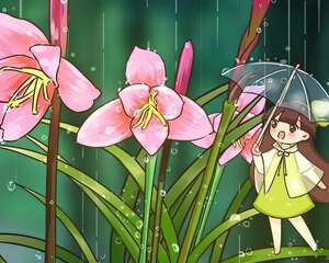 这花就是受虐狂，越下雨越开花，不怕风吹雨打，比白菜长得快！！