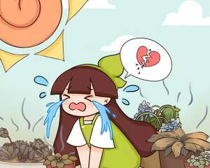 19万买的花，一个夏天全死光，咋办？