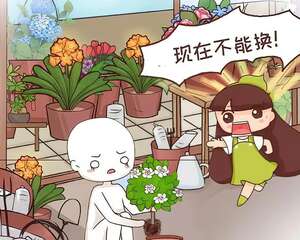 家里有这花，现在千万别施肥，否则熬不过冬天！