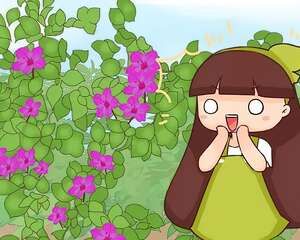不用扦插的5种花，扔土里呼呼冒一片，1盆能养出100盆！