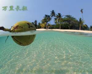 植物三十六计之：万里长征