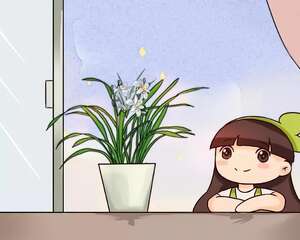 这花先别搬进屋，放外面冻20天，很快就开花！