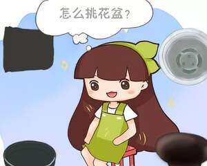 在家养花，千万不能用这盆，容易把花养死！