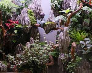 微型盆景的制作步骤