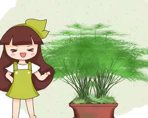 养这花别心软，遇到黄叶狠心剪，越剪长得越快！