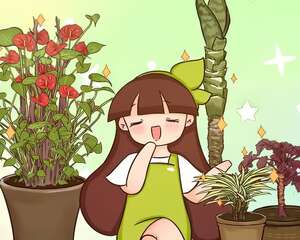 虎皮兰,红掌,吊兰…养成老桩，大树一样，真值钱！