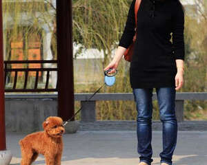 如何避免别人偷自己的狗狗