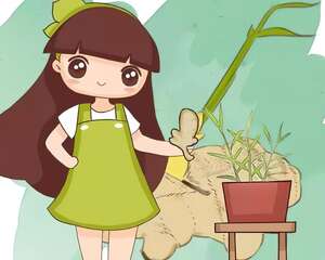 发芽的菜扔水里，15天长一桶，7天吃一茬，全家乐开花！