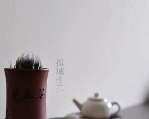 多肉植物与茶道的融合：十二卷在茶席搭配及文人空间的可能性