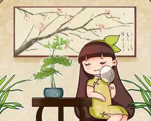 有内涵的人，都爱养这花，时尚有格调，大气上档次！