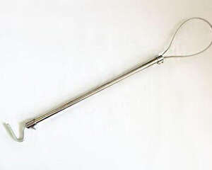 狗狗的保定方法有哪些