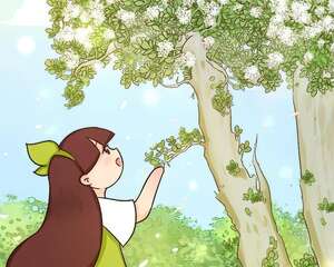 养了20年的玉树，满树开粉花，据说好运要来了！