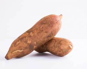 吃雪莲果有什么禁忌，孕妇可以吃雪莲果吗