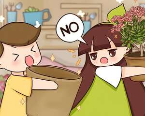 家里有这花，小花盆、挤着养，大盆反而死得快！