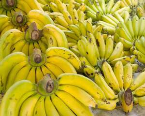 香蕉怎么做，脆皮香蕉的做法