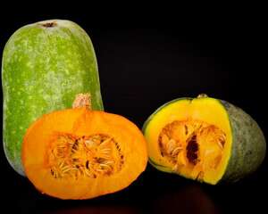 南瓜容易消化吗，吃多了会怎么样