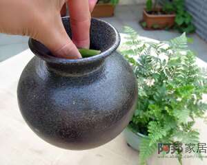插瓶花时太短的花枝怎么插