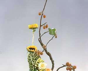 日本插花流派—未生流（图）