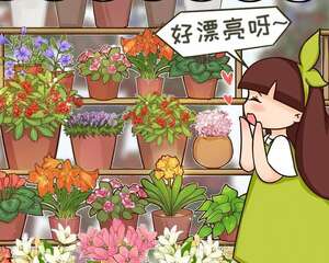 公认的“必死花”，买过无数次，从没养活过！