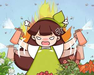 自制杀菌水、除虫水，3天喷一次，养花干干净净！