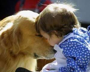 怀孕期间如何科学养狗