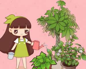 冬天给花一盆水，浇对了狂开花，浇错了死一片！