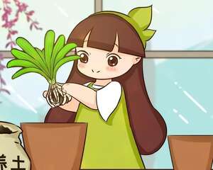 换盆时间到了，家里有这花，换完立马疯长！