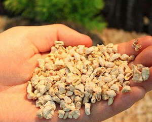 仓鼠用品之垫材的购买注意事项