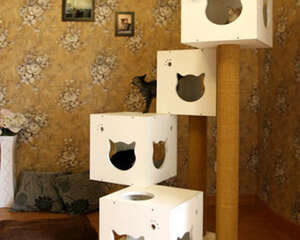 选择猫爬架的四个注意事项