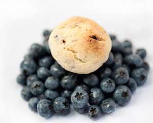 孕妇可以吃蓝莓吗