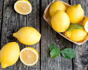 柠檬的花语和文化渊源