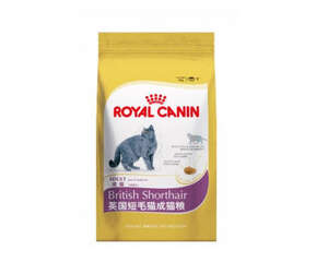 英国短毛猫正确的饲养方式是什么？