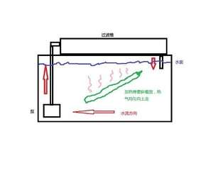 水族箱使用加热棒的注意事项