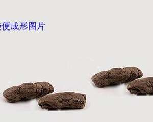 如何让宠物粪便成形？