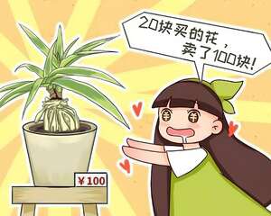 这4种花，把根拎出来养一年，身价立马翻倍涨！