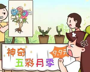 春天买花要注意，这花千万别买，都是骗人的！