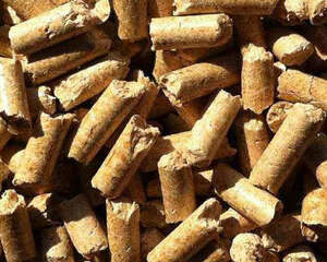 松木猫砂的优缺点有哪些