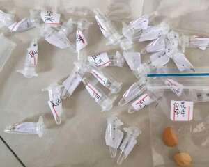 宿迁沭阳多造假，花友网购多肉种子竟种出杂草