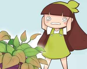 花一黄叶就爱死，早治能救活，晚了全死光！