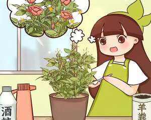 冒花苞了，要这么养，才能顺利开花！