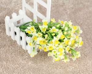 水仙花的花期时间，如何延长花期