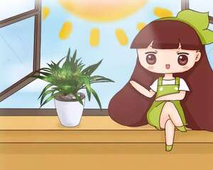 三伏后还有秋老虎，6种花不能乱晒，小心黄叶全死翘！